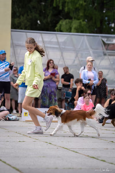 Florinka Olomouc — Krajská výstava – 7. června 2026