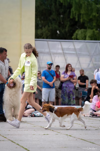 Florinka Olomouc — Krajská výstava – 7. června 2026