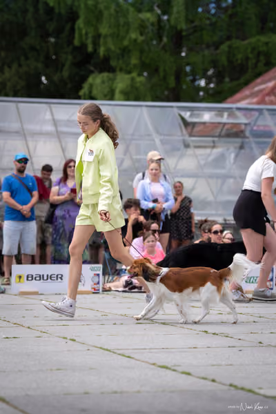 Florinka Olomouc — Krajská výstava – 7. června 2026