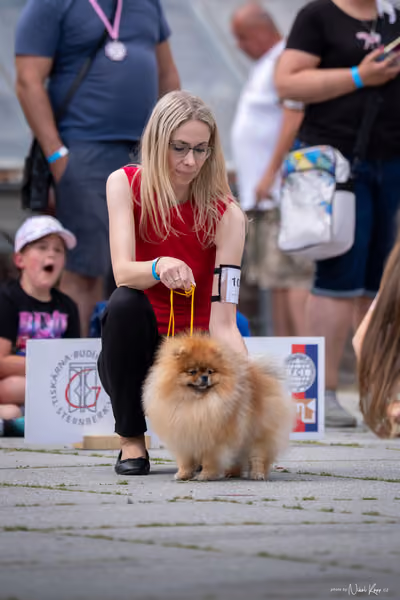Florinka Olomouc — Krajská výstava – 7. června 2026