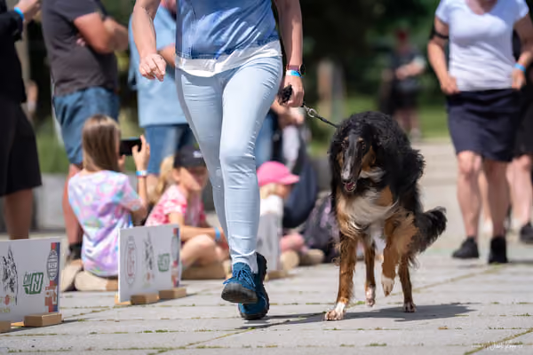Florinka Olomouc — Krajská výstava – 7. června 2026