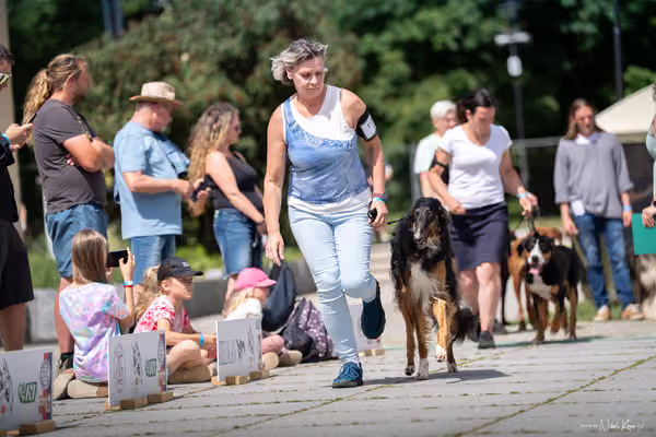 Florinka Olomouc — Krajská výstava – 7. června 2026