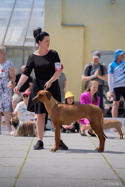 Florinka Olomouc — Krajská výstava – 7. června 2026