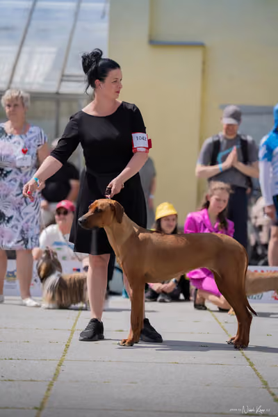 Florinka Olomouc — Krajská výstava – 7. června 2026