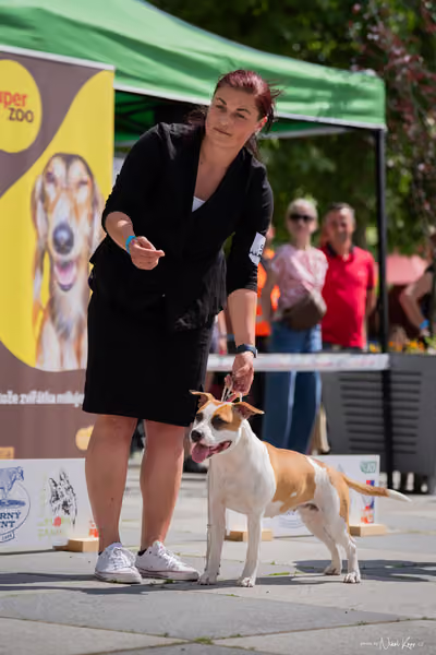 Florinka Olomouc — Krajská výstava – 7. června 2026