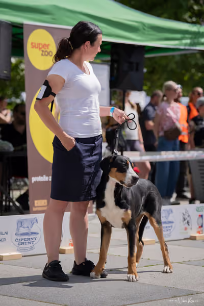 Florinka Olomouc — Krajská výstava – 7. června 2026
