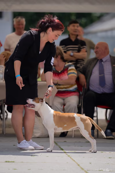 Florinka Olomouc — Krajská výstava – 7. června 2026