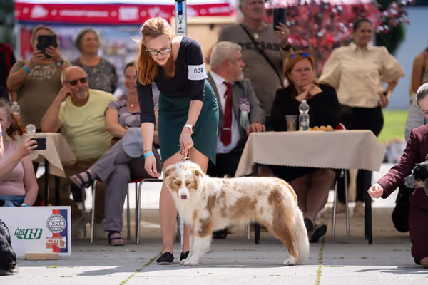 Florinka Olomouc — Krajská výstava – 7. června 2026