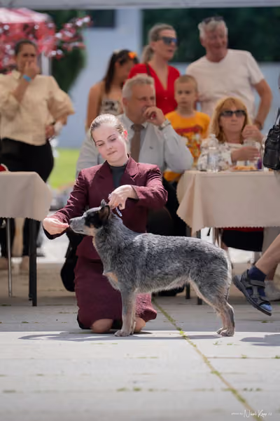 Florinka Olomouc — Krajská výstava – 7. června 2026