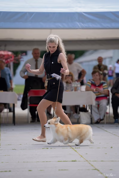 Florinka Olomouc — Krajská výstava – 7. června 2026