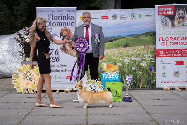 Florinka Olomouc — Krajská výstava – 7. června 2026