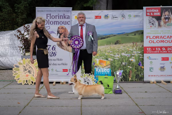 Florinka Olomouc — Krajská výstava – 7. června 2026