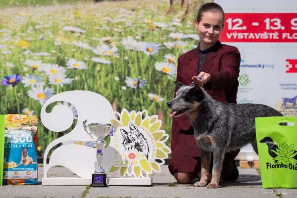Florinka Olomouc — Krajská výstava – 7. června 2026