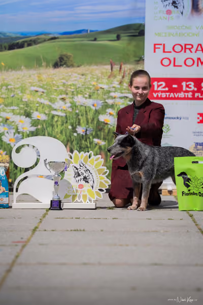 Florinka Olomouc — Krajská výstava – 7. června 2026
