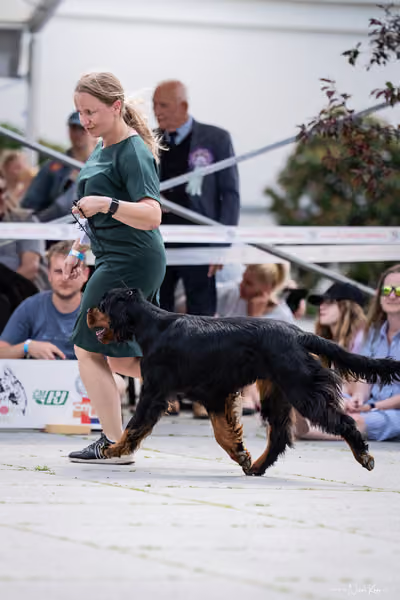 Florinka Olomouc — Krajská výstava – 7. června 2026