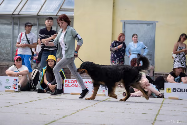 Florinka Olomouc — Krajská výstava – 7. června 2026