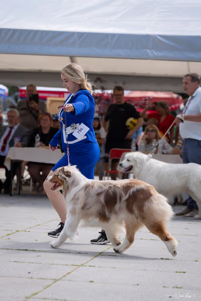 Florinka Olomouc — Krajská výstava – 7. června 2026