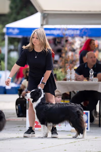 Florinka Olomouc — Krajská výstava – 7. června 2026