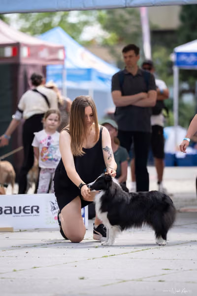 Florinka Olomouc — Krajská výstava – 7. června 2026