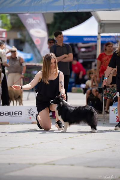 Florinka Olomouc — Krajská výstava – 7. června 2026