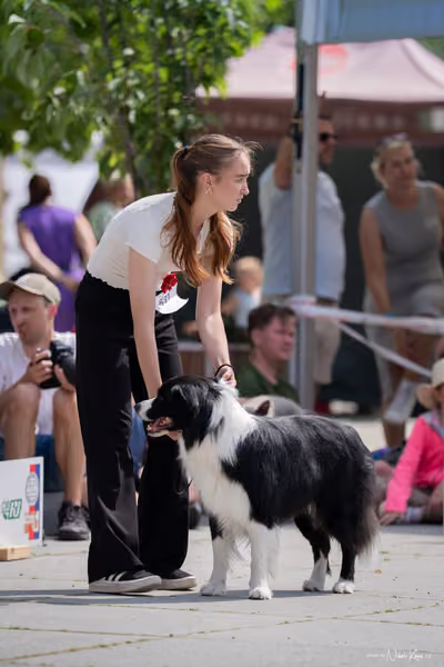 Florinka Olomouc — Krajská výstava – 7. června 2026