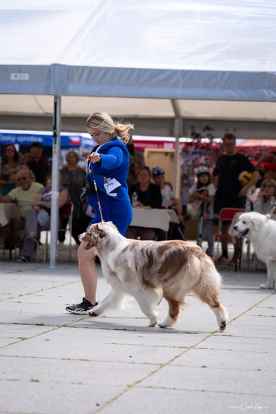 Florinka Olomouc — Krajská výstava – 7. června 2026