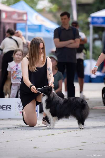 Florinka Olomouc — Krajská výstava – 7. června 2026