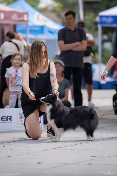 Florinka Olomouc — Krajská výstava – 7. června 2026