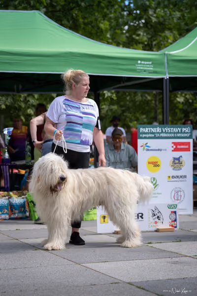 Florinka Olomouc — Krajská výstava – 7. června 2026