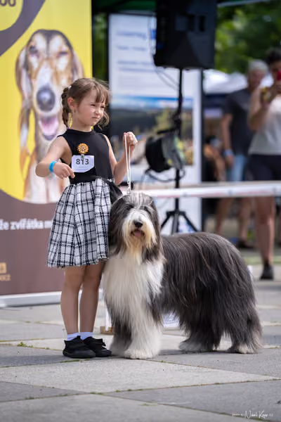 Florinka Olomouc — Krajská výstava – 7. června 2026