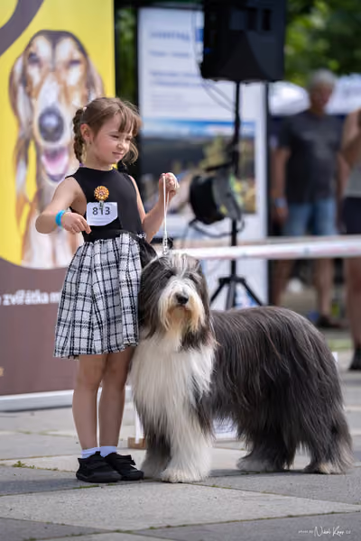 Florinka Olomouc — Krajská výstava – 7. června 2026