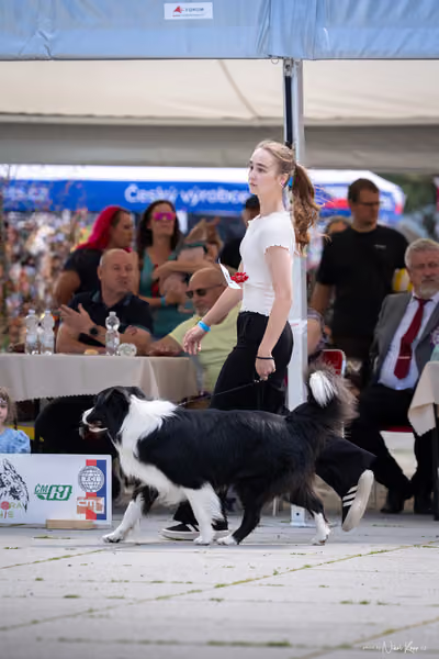 Florinka Olomouc — Krajská výstava – 7. června 2026
