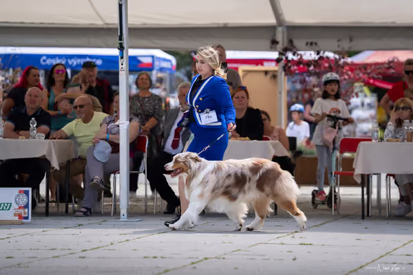 Florinka Olomouc — Krajská výstava – 7. června 2026