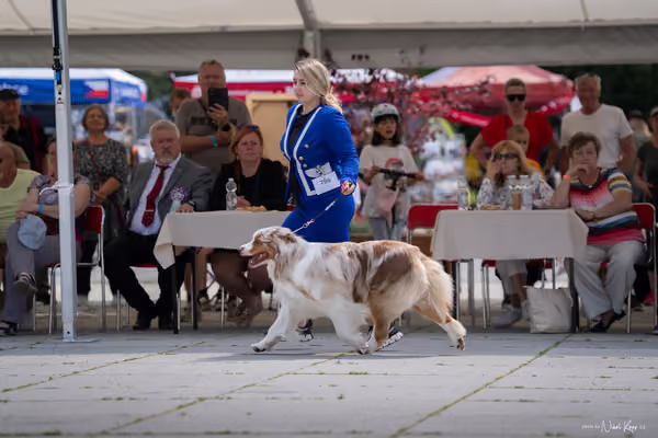 Florinka Olomouc — Krajská výstava – 7. června 2026