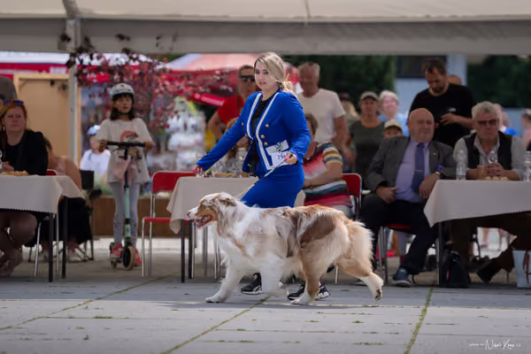 Florinka Olomouc — Krajská výstava – 7. června 2026