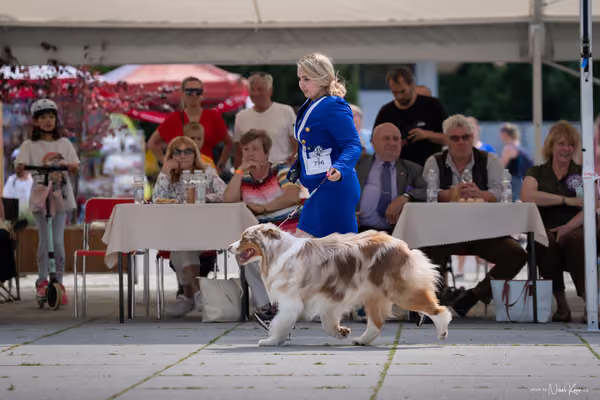 Florinka Olomouc — Krajská výstava – 7. června 2026
