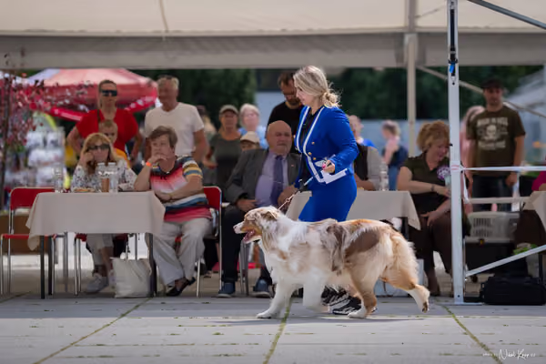 Florinka Olomouc — Krajská výstava – 7. června 2026