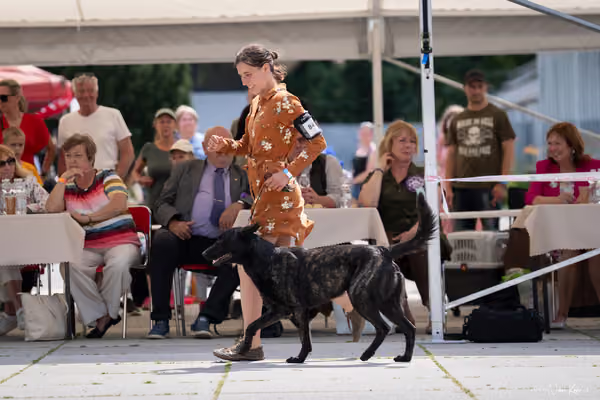 Florinka Olomouc — Krajská výstava – 7. června 2026