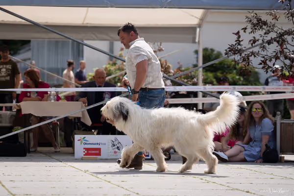 Florinka Olomouc — Krajská výstava – 7. června 2026