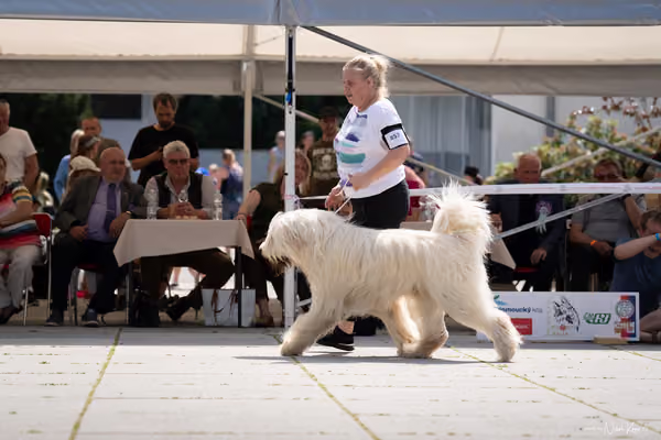Florinka Olomouc — Krajská výstava – 7. června 2026
