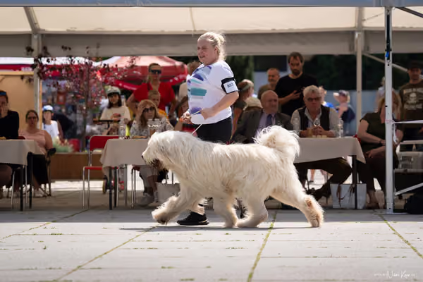 Florinka Olomouc — Krajská výstava – 7. června 2026
