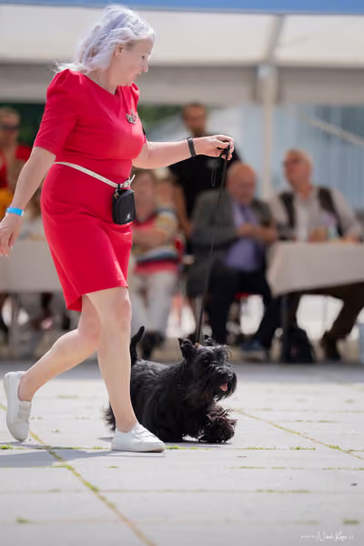 Florinka Olomouc — Krajská výstava – 7. června 2026