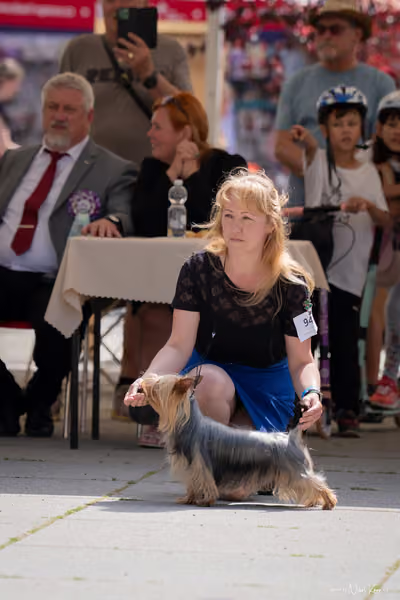 Florinka Olomouc — Krajská výstava – 7. června 2026