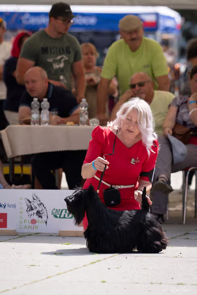 Florinka Olomouc — Krajská výstava – 7. června 2026