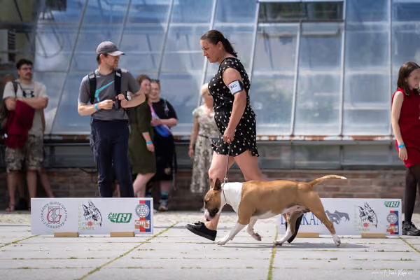Florinka Olomouc — Krajská výstava – 7. června 2026