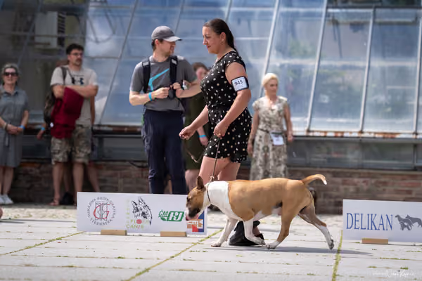 Florinka Olomouc — Krajská výstava – 7. června 2026