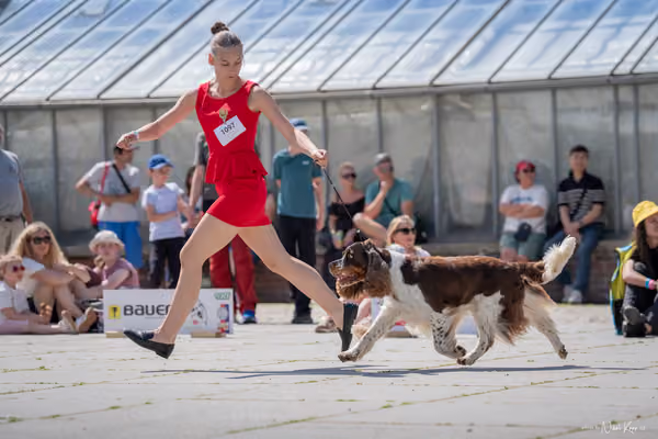 Florinka Olomouc — Krajská výstava – 7. června 2026