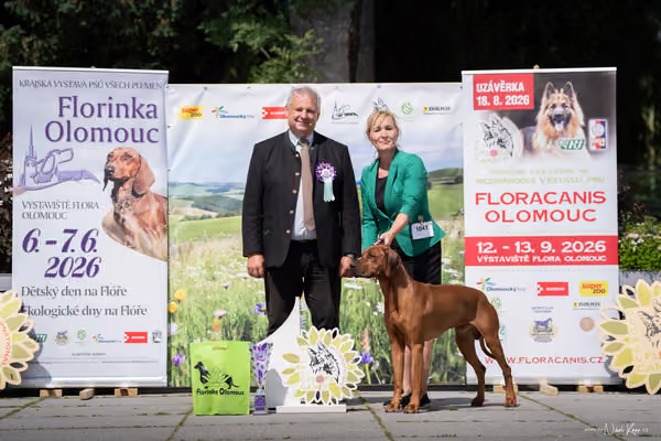 Florinka Olomouc — Krajská výstava – 7. června 2026