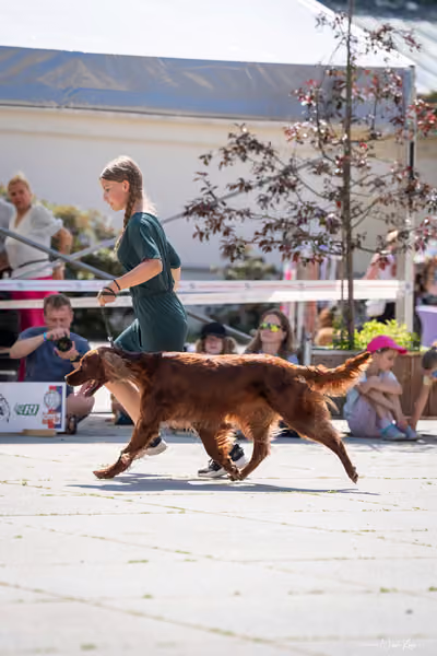 Florinka Olomouc — Krajská výstava – 7. června 2026