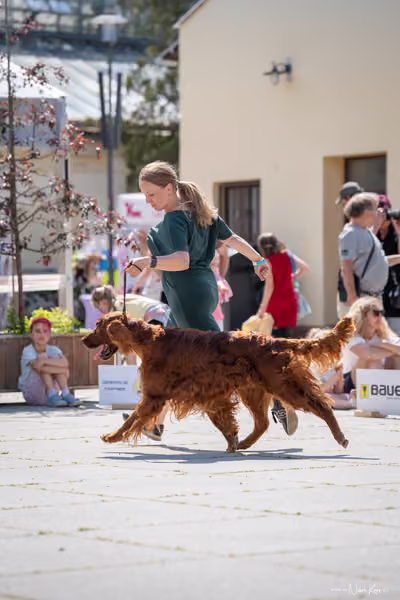 Florinka Olomouc — Krajská výstava – 7. června 2026